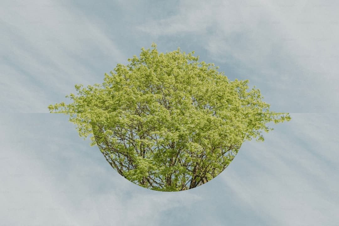 成都车展欧拉以浪漫致初心